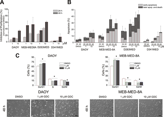 Determination of anti-proliferative and pro-apoptotic effects of GDC-0941 in medulloblastoma cells.