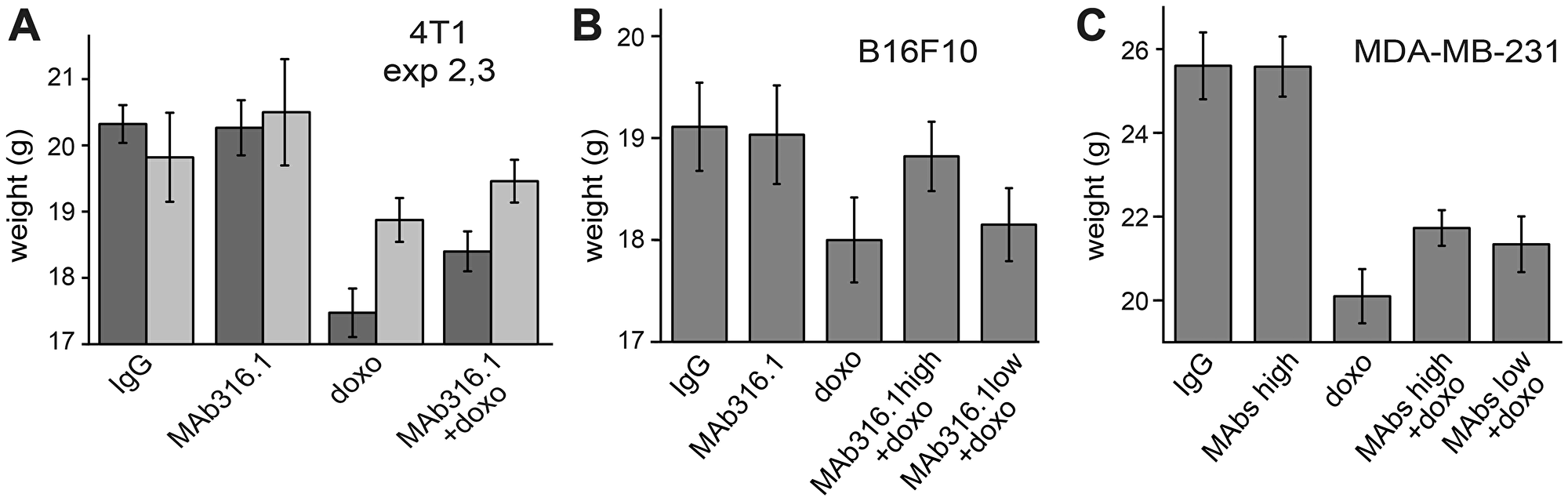 Body weights of mice following treatments with QSOX1 inhibitory antibodies and chemotherapy.
