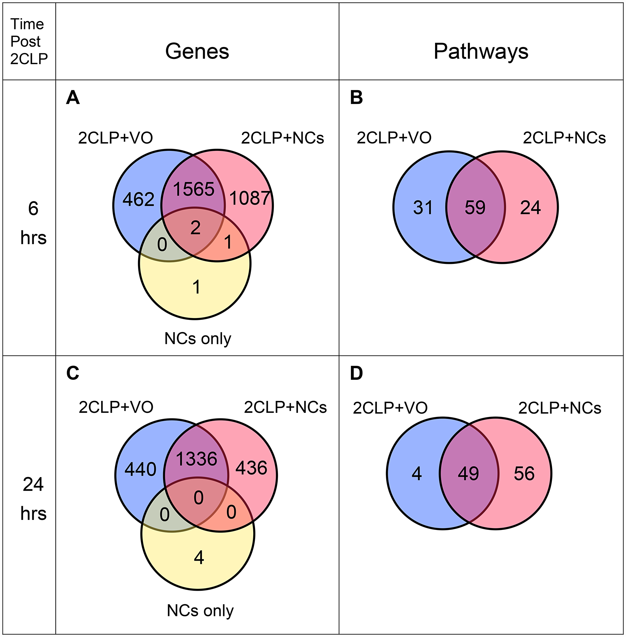 Venn diagrams of expressed genes and enriched pathways.