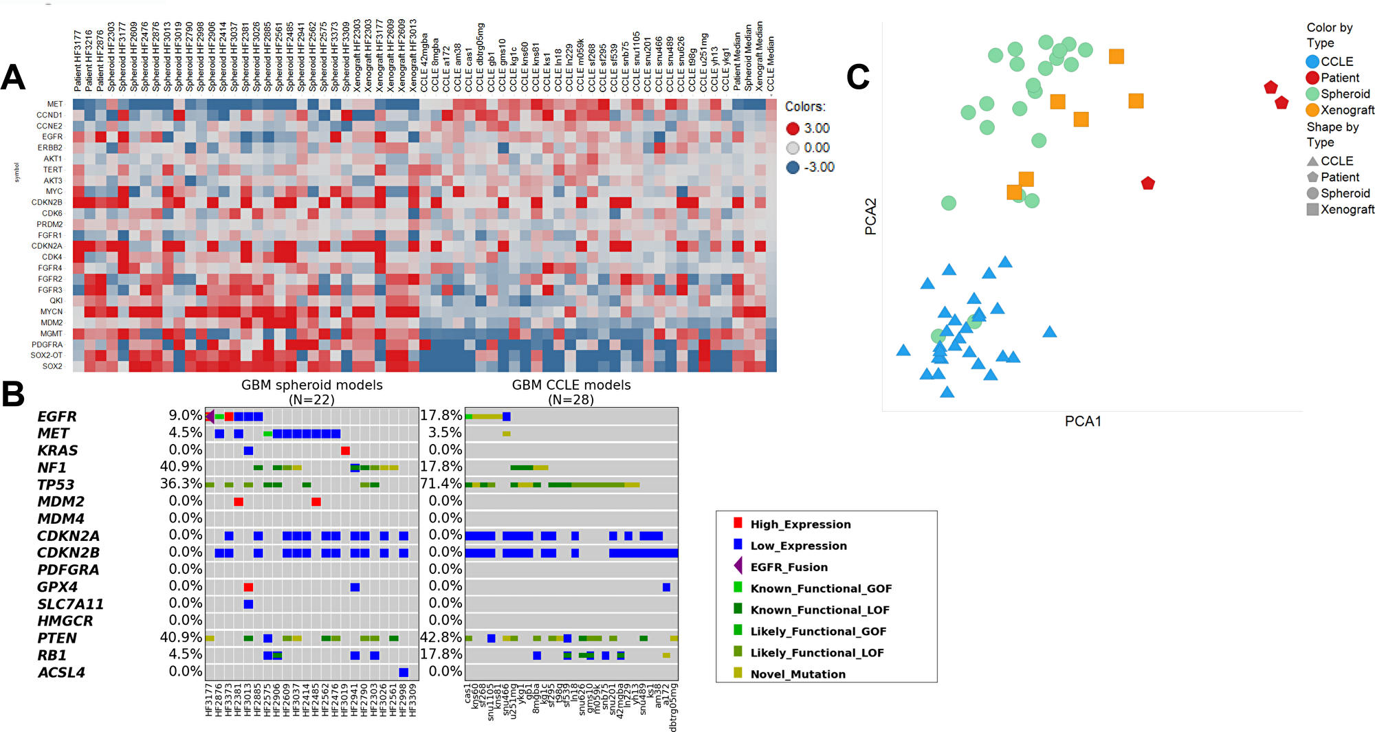 Comparison of gene expression and mutational status of patient-derived glioblastoma samples compared to those from CCLE.