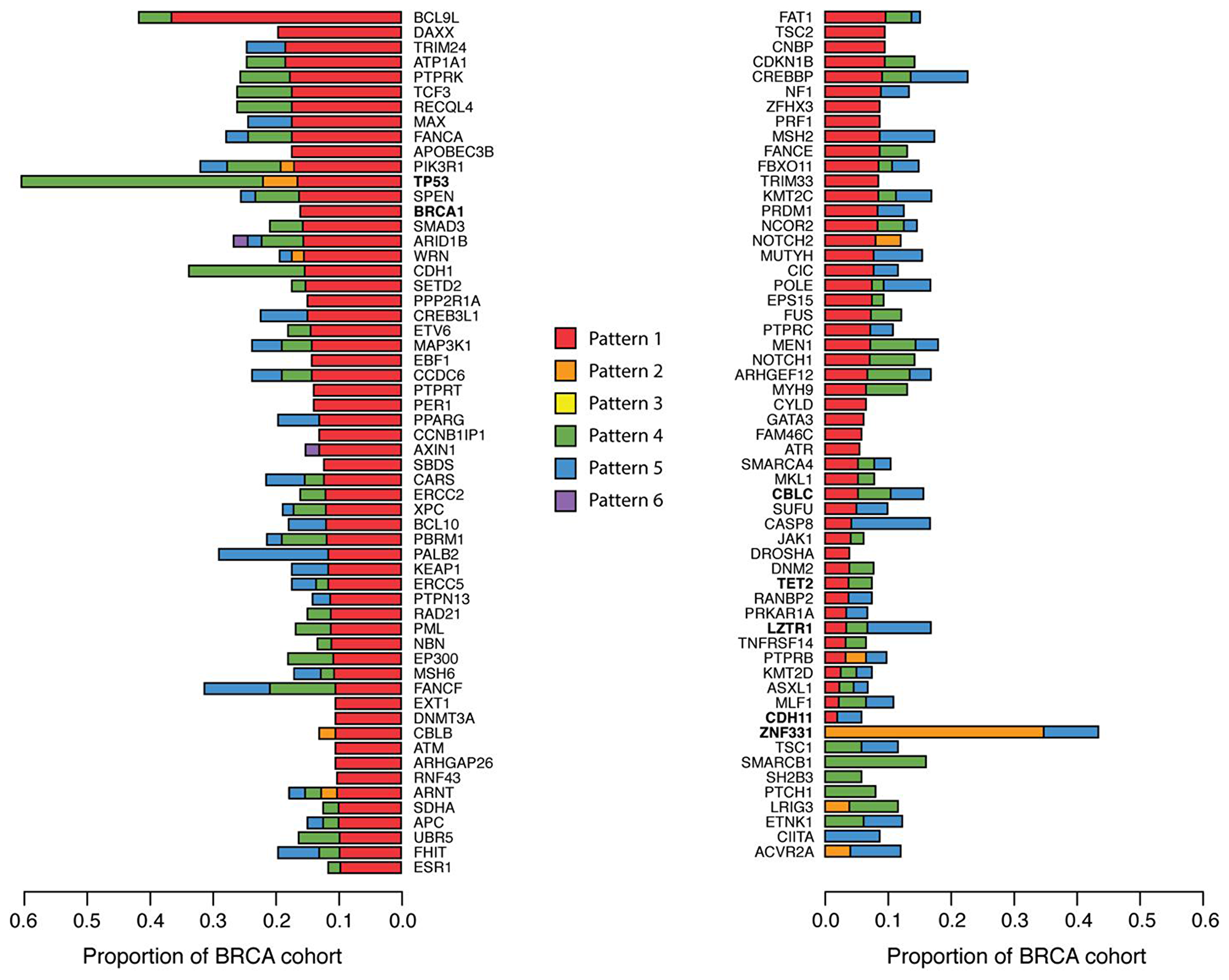 Tumor suppressor genes with ASE in breast cancer patients.