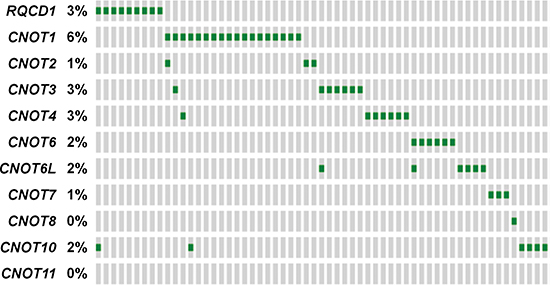 Mutational landscape of the CCR4-NOT complex genes in the TCGA database.