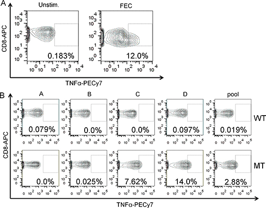 CD8-T cell response to challenge with 13mer peptides representing the mutant or wildtype RQCD1 sequences.