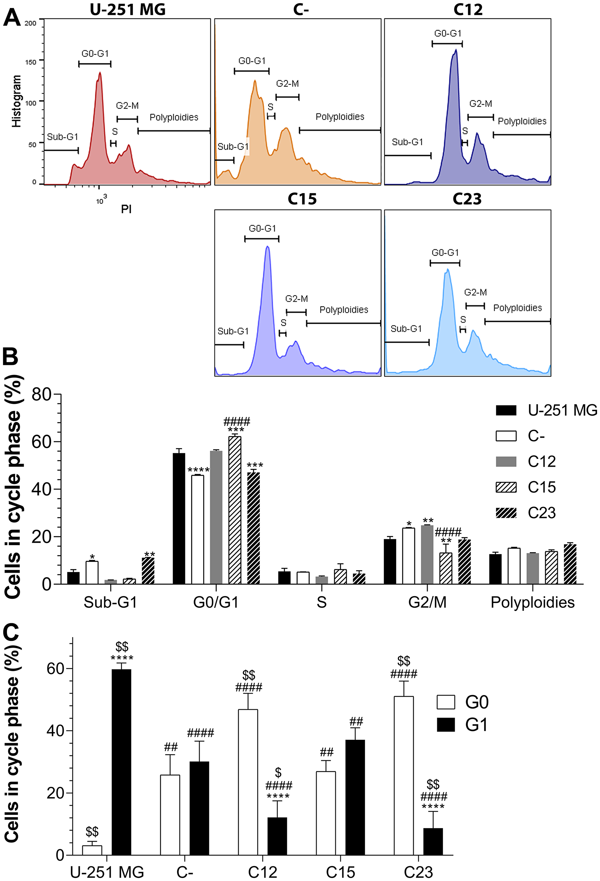 Cell cycle analysis to assess GPC1 influence on GBM.