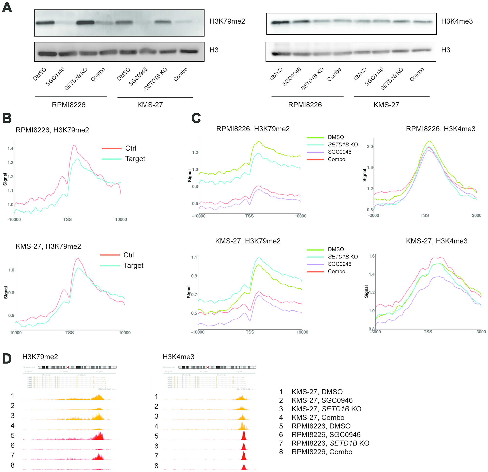 Genome-wide profiles of H3K79me2 and H3K4me3 upon perturbation of DOT1L and SETD1B.