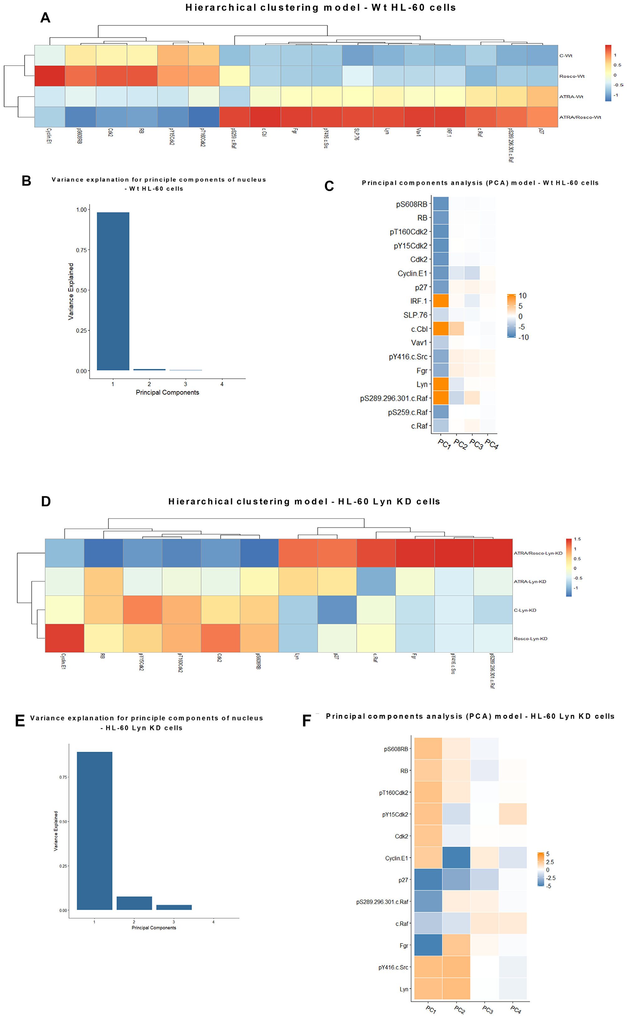 Hierarchical clustering and principal components analysis (PCA) of nuclear protein expression/activation in HL-60 wt and Lyn KD cells.