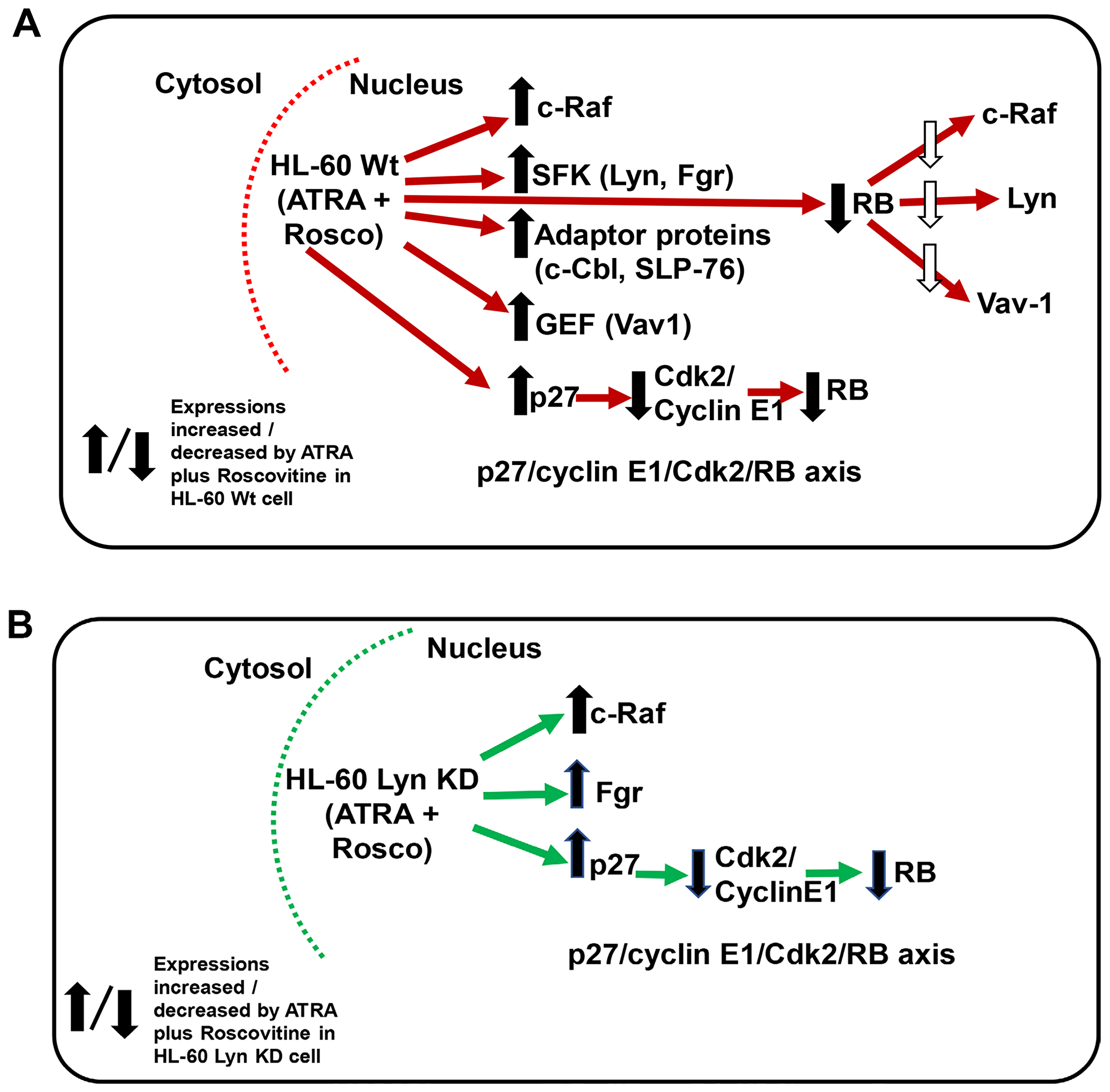 Figure 9: