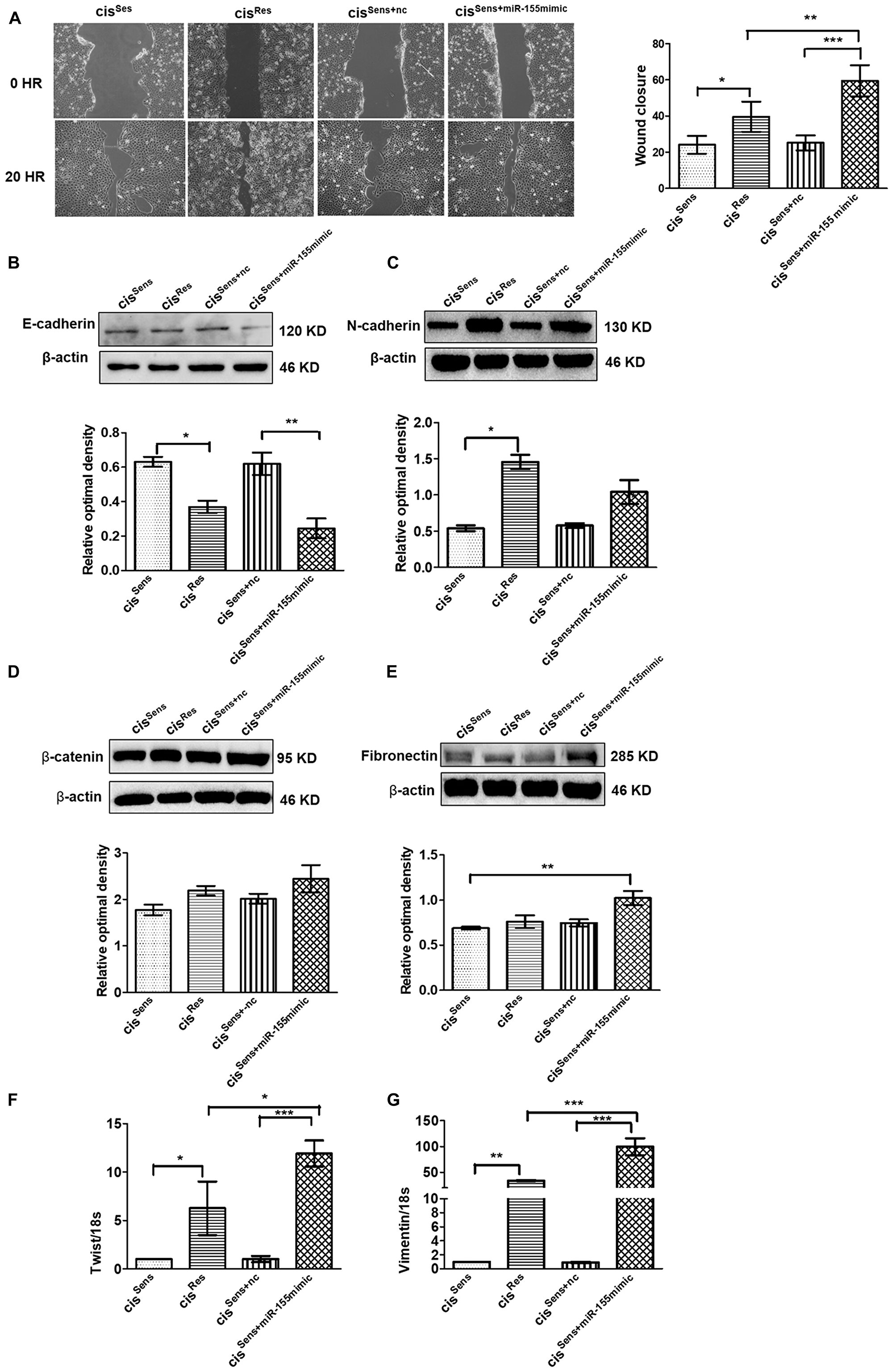 Figure 3: