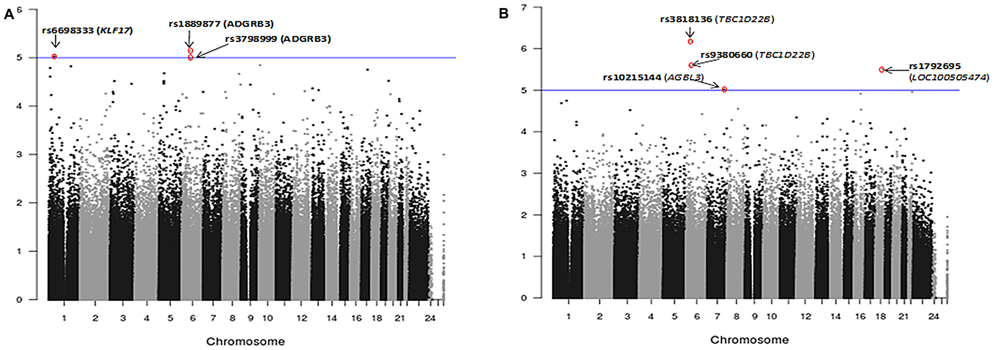 Figure 2: