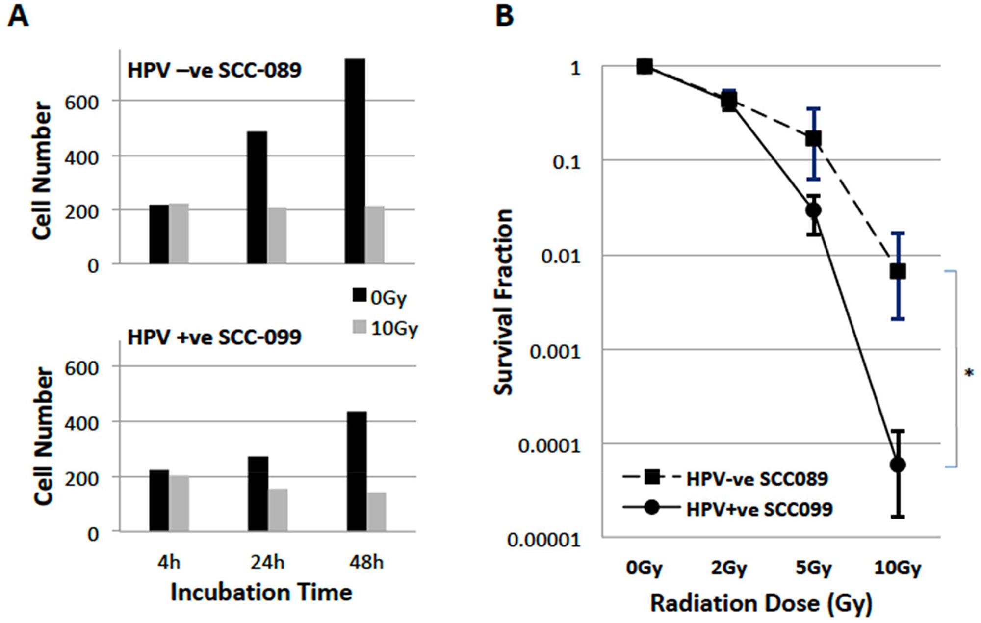 Radiosensitivity of HPV-SCC-089 and HPV+SCC-099 cells.