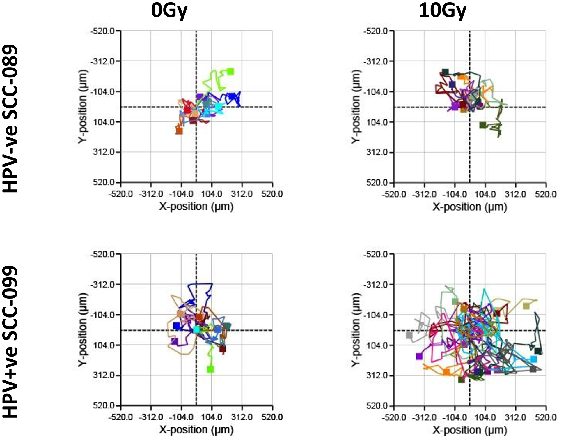 Cell movement in HPV-SCC-089 and HPV+SCC-099 by Holographic microscopy.