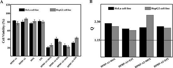 Cell viability and combination index of HeLa and HepG2 treated with drug combination.