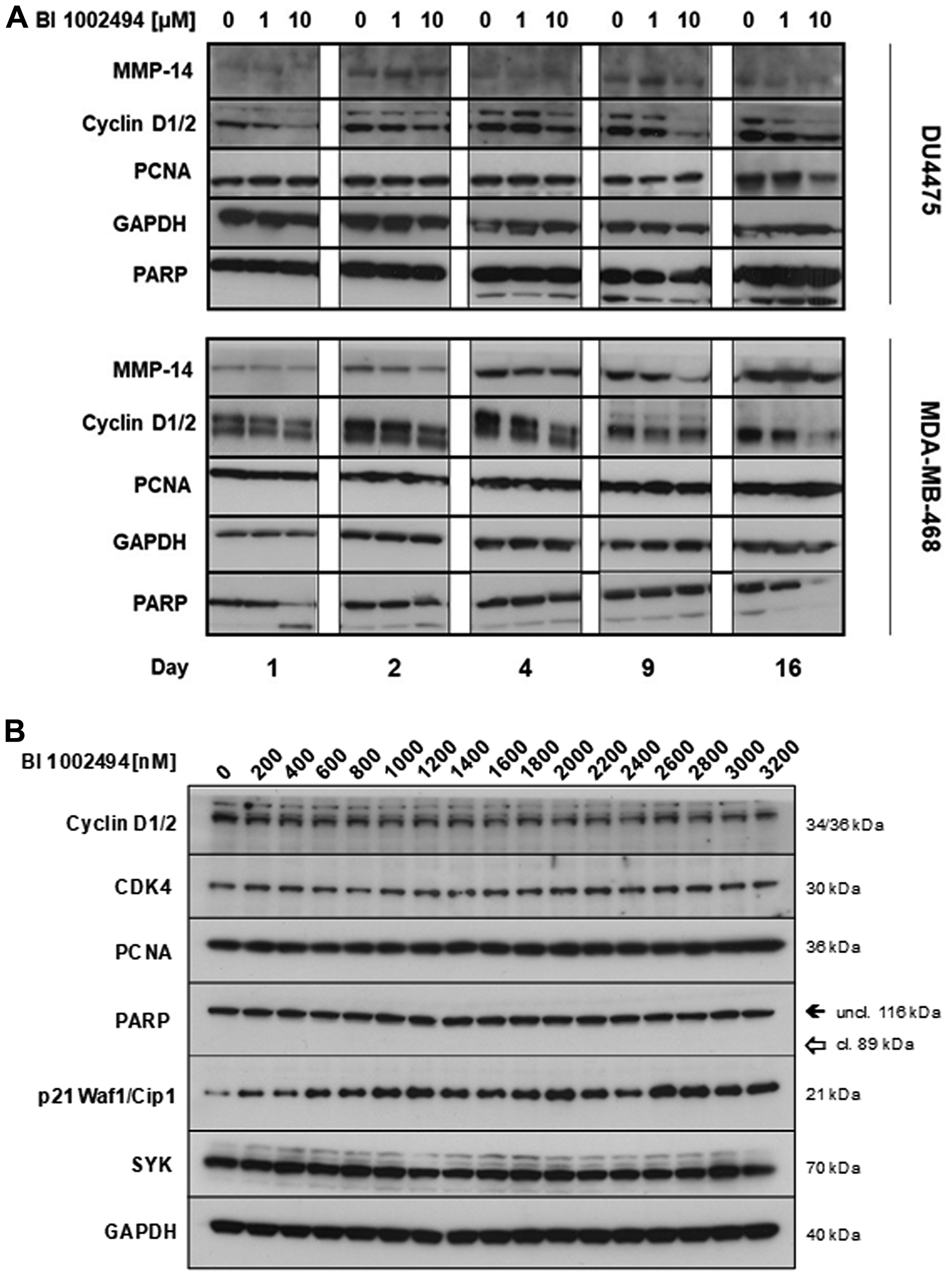 Figure 3: