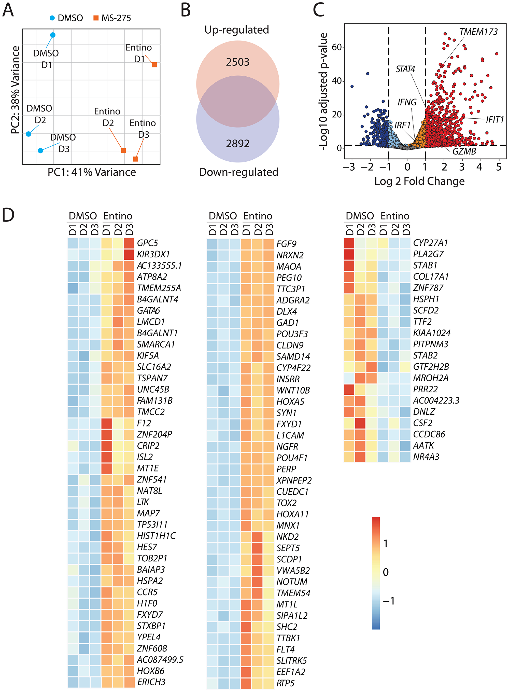 Entinostat alters the transcriptome of NK cells to augment their effector functions.