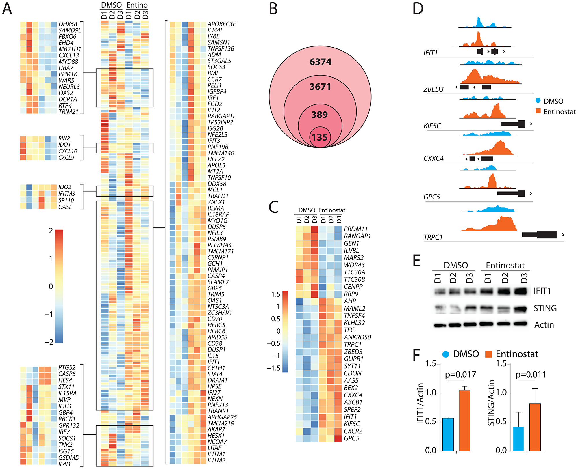 Transcriptomic alterations of IFIT1-associated genes and epigenetic upregulation of IFIT1 by entinostat.