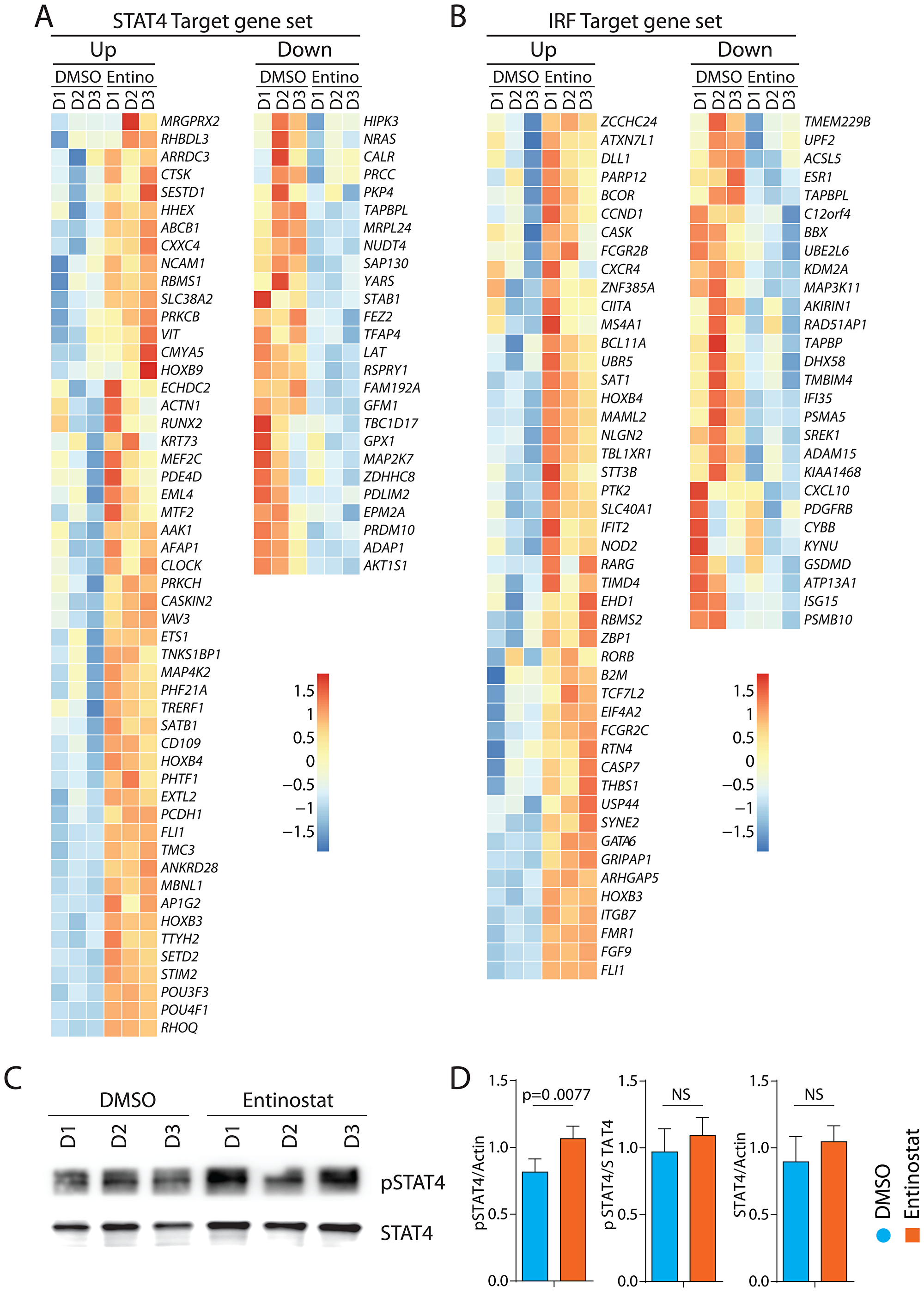 Transcriptomic alterations of target genes of STAT4 and IRF1 by entinostat.