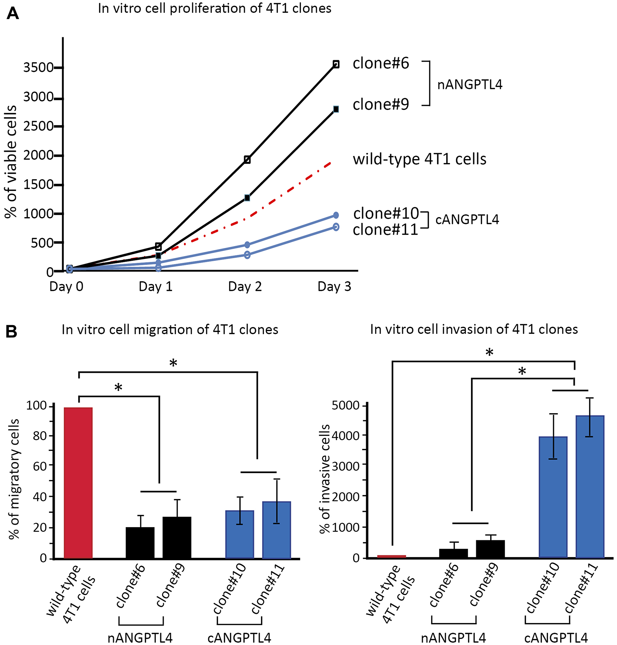 in vitro biological effects of c- and nANGPTL4 fragments on 4T1 murine breast cancer cells.