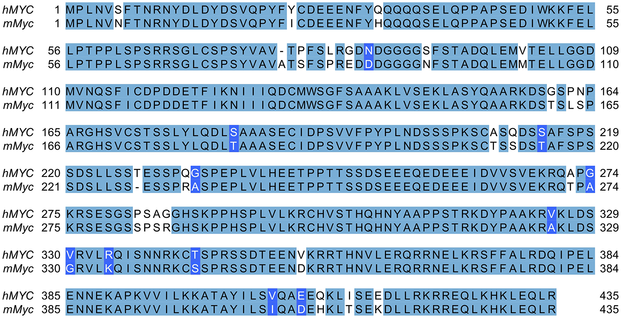 Alignment of human and murine MYC proteins.