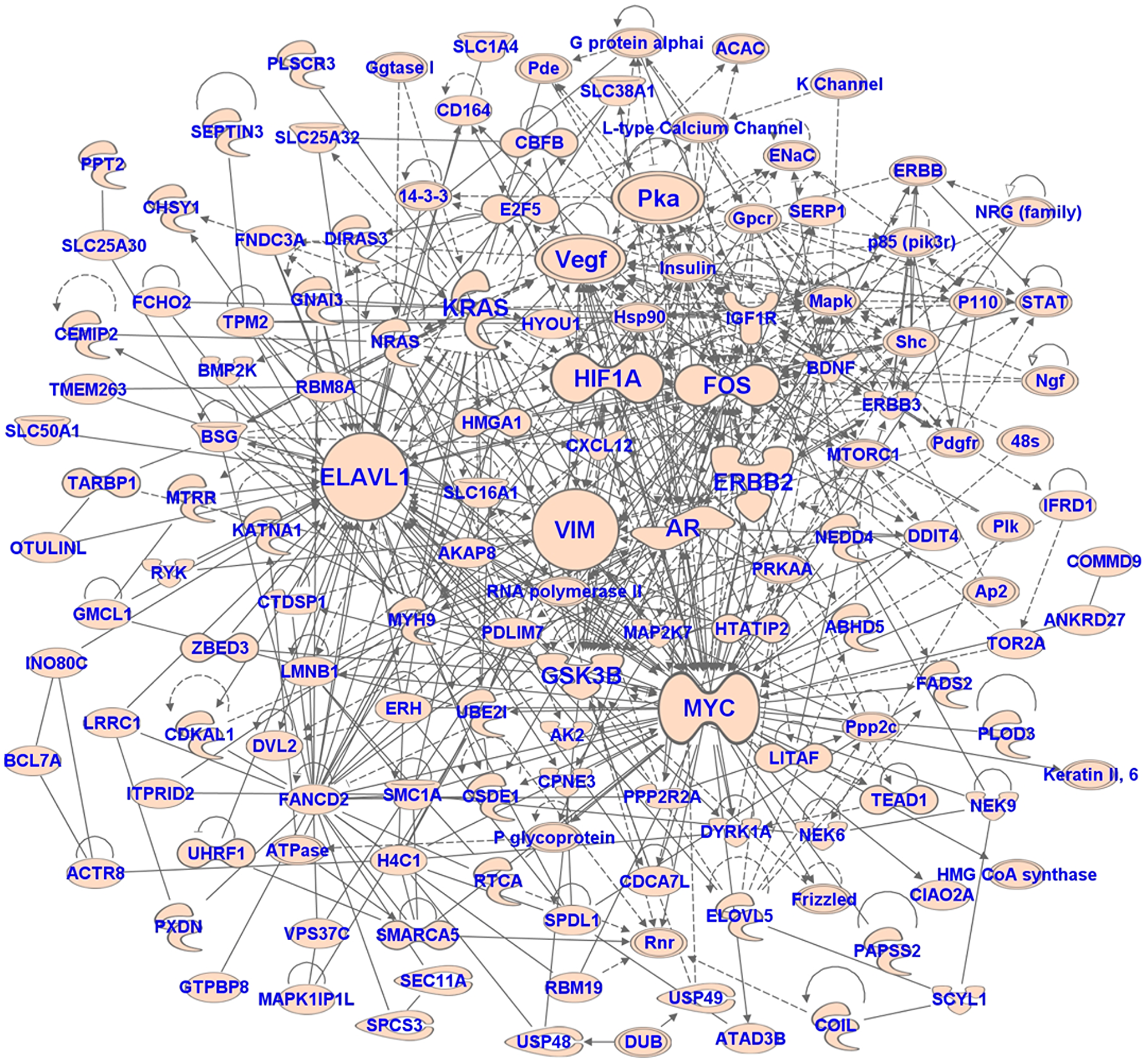 The network of target genes of miRNAs associated with metastasis in UM.