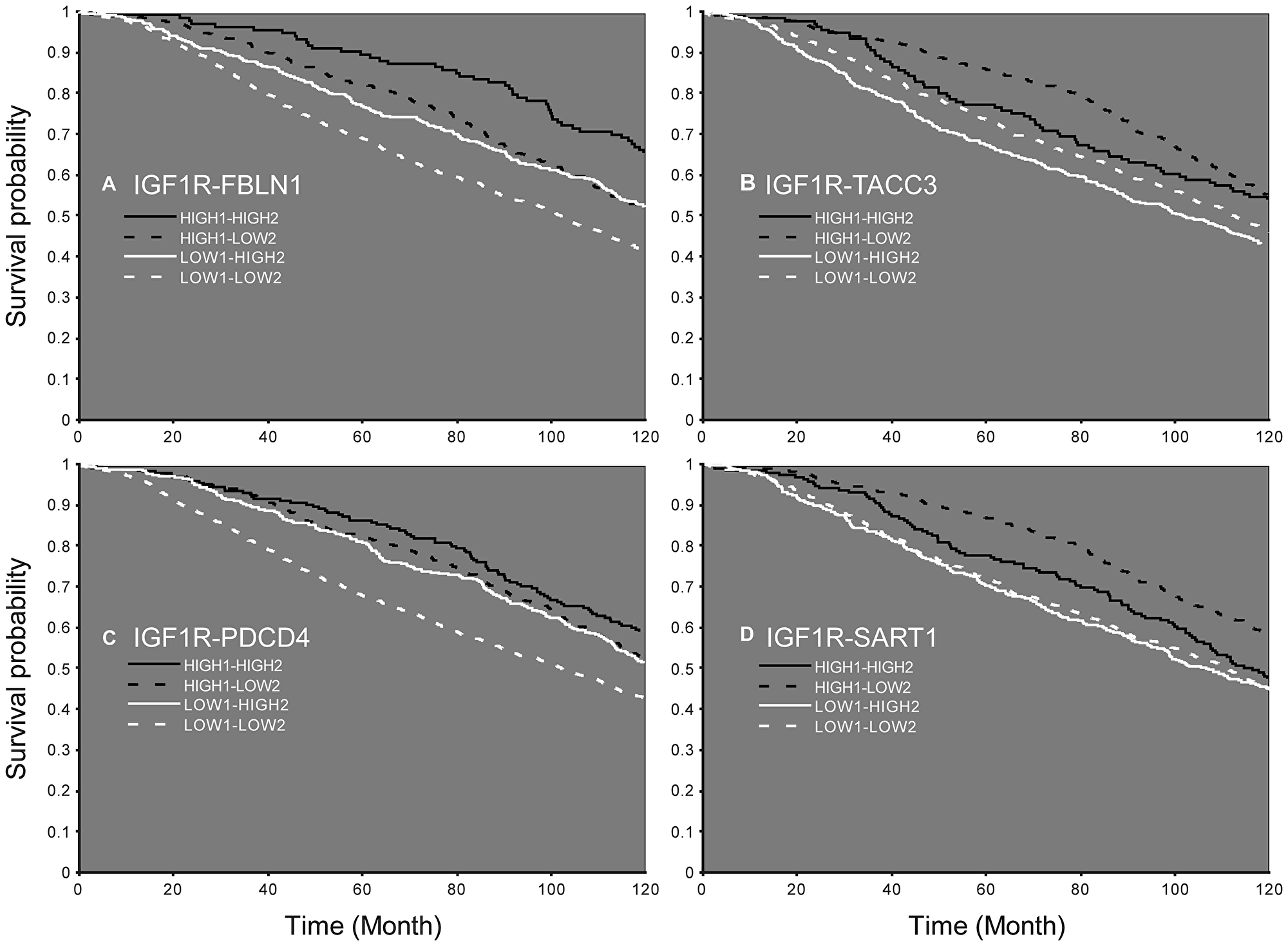 Survival probability according to the expression of IGF1R mRNA and an additional gene.