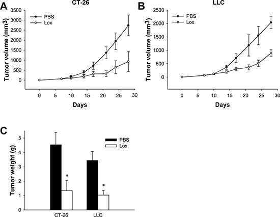 TLR7 ligand Loxoribin inhibits tumor growth in vivo.