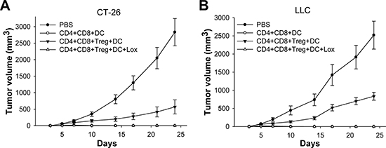 Loxoribin-treated DCs inhibit tumor growth in vivo.