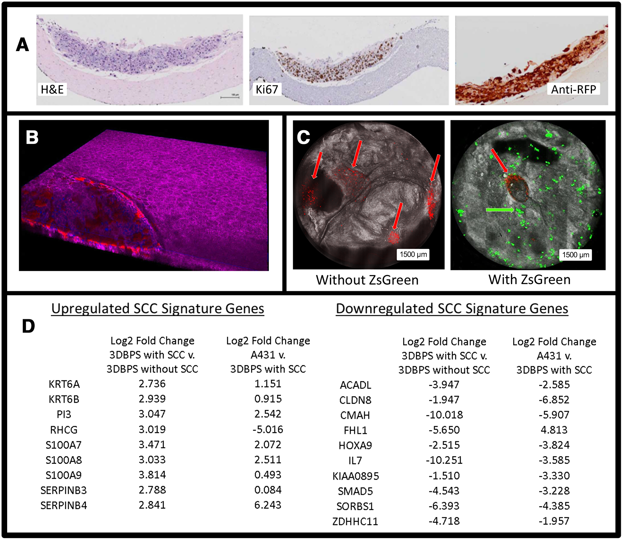 Figure 3: