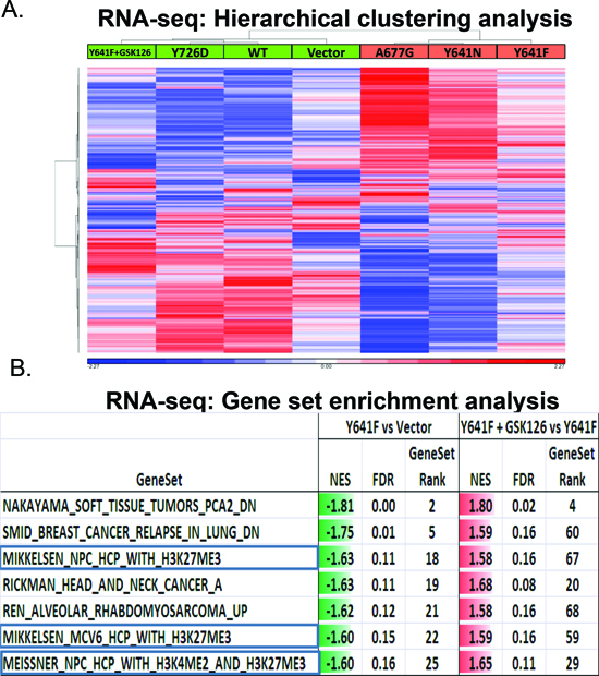 RNA-seq analysis of A375 stable cells reveals a correlation between EZH2 catalytic activity and global gene expression patterns.