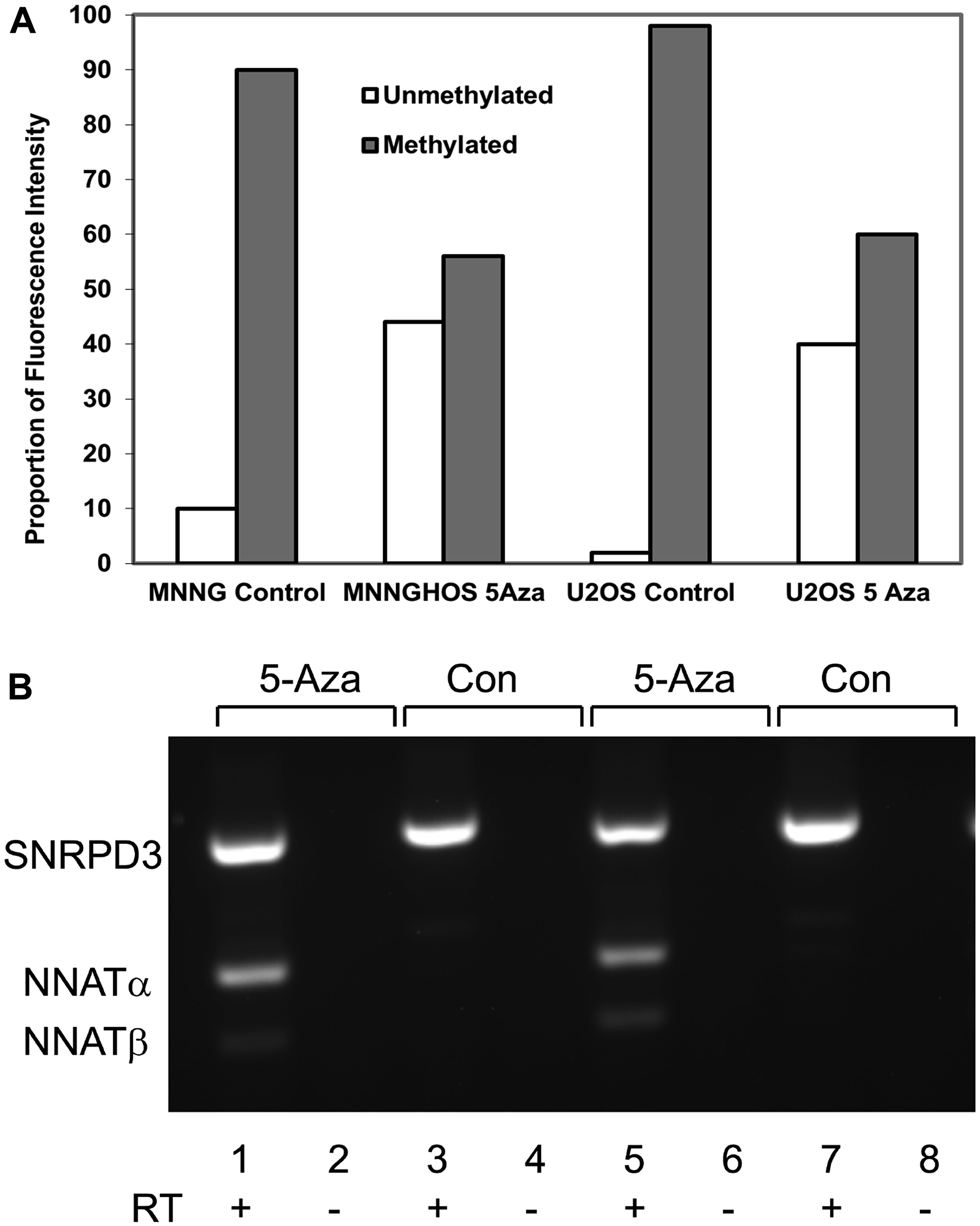 Neuronatin mRNA expression is derepressed with demethylation of the NNAT CpG island by 5-aza-2’-deoxycytidine.