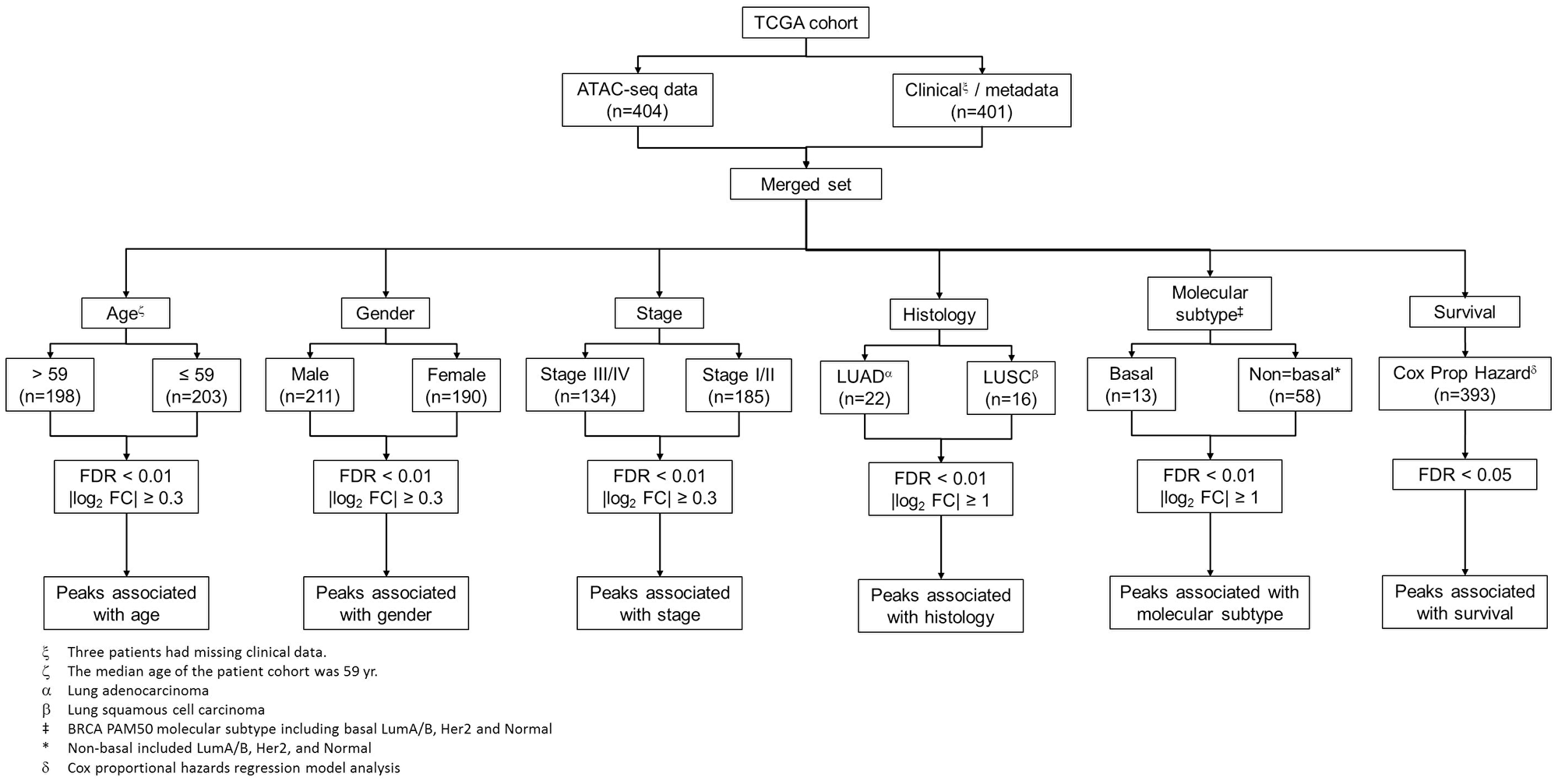 Identification of clinically-associated peaks in the promoter regions.