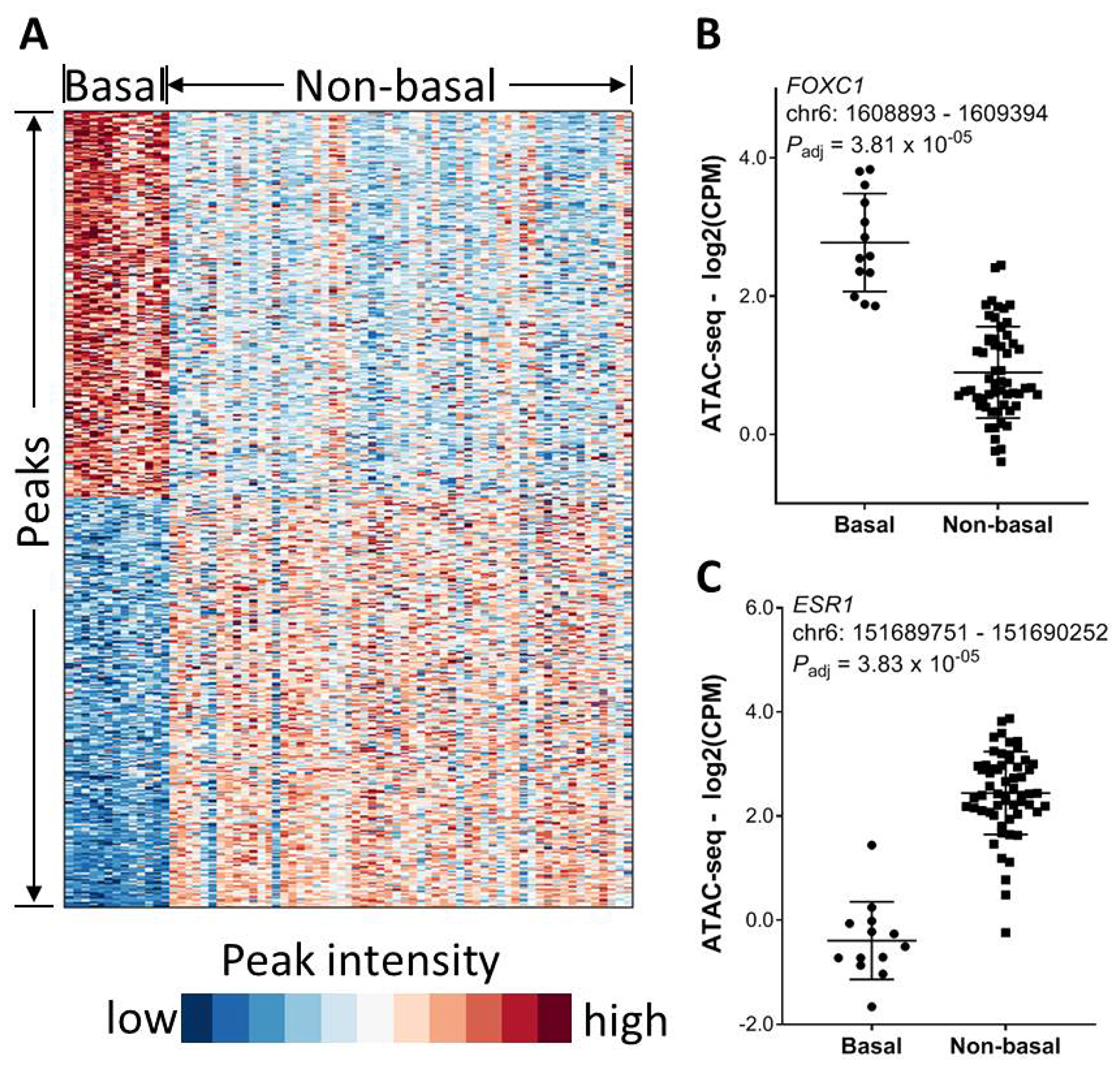 Association of chromatin accessibility with molecular subtype.