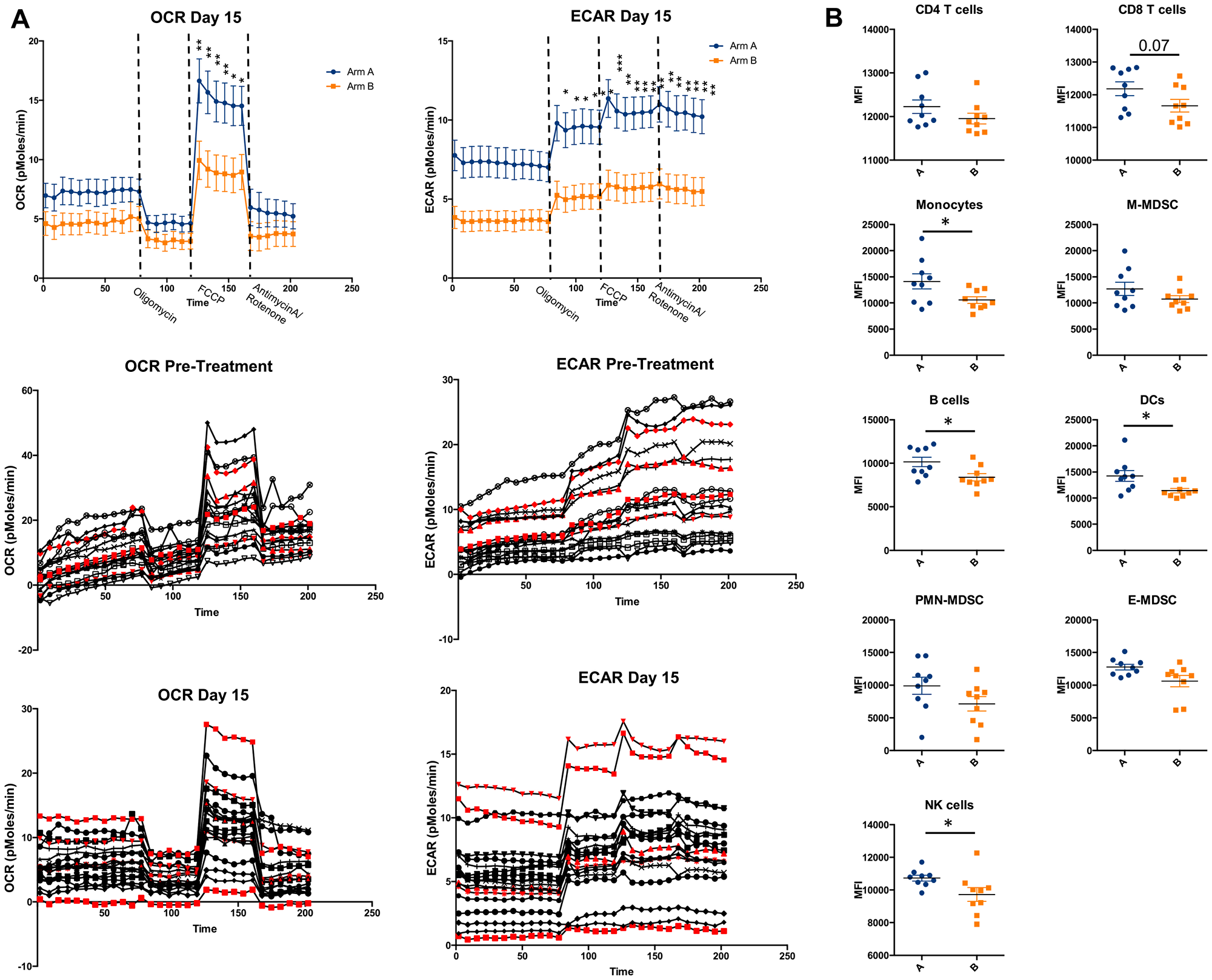 Metabolic analysis of PBMCs.