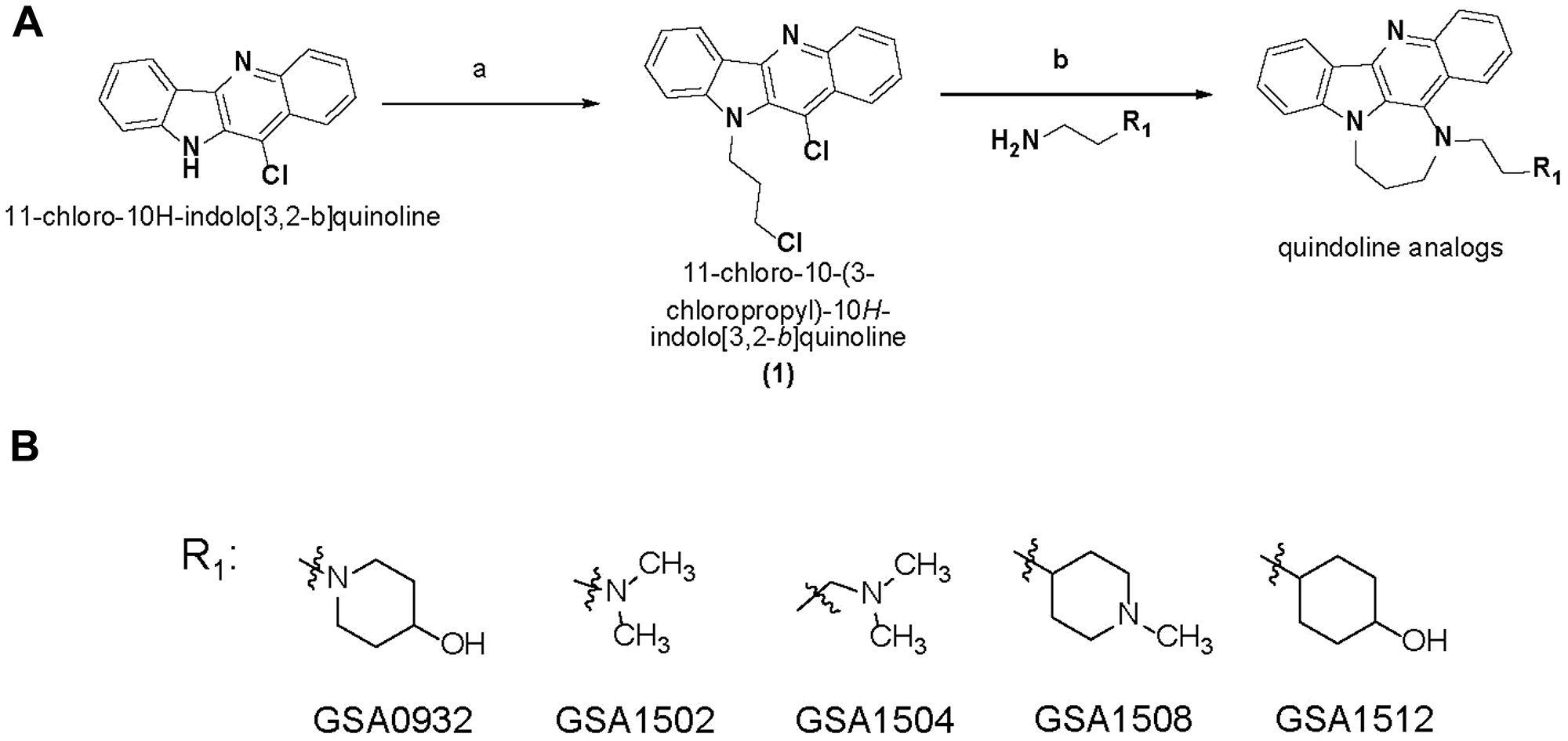 New G4-binding compound structures.