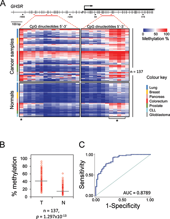 GHSR methylation pattern, average methylation degree and ROC curve analysis in seven common malignancies and respective normal tissue.