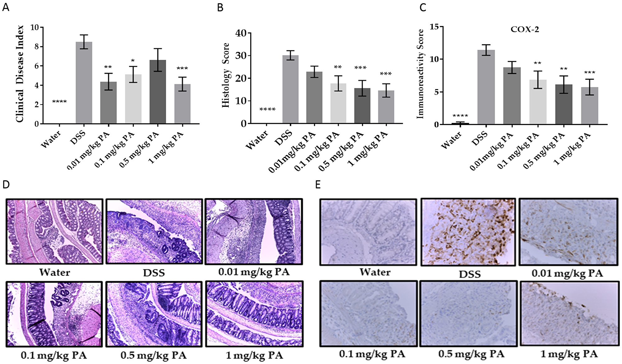 Panaxynol suppresses DSS-induced colitis in mice.