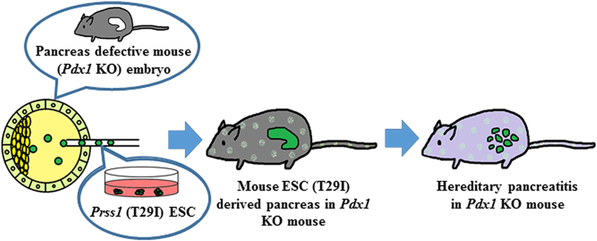 Figure 7: Reproduction of HP by BC method.