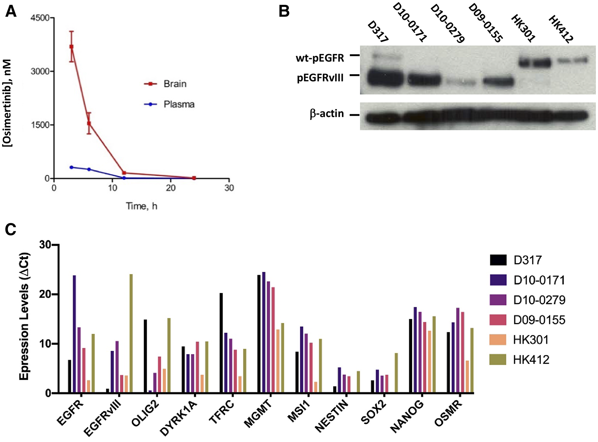 Pharmacokinetics of osimertinib and characterization of EGFRvIII+ GSCs.