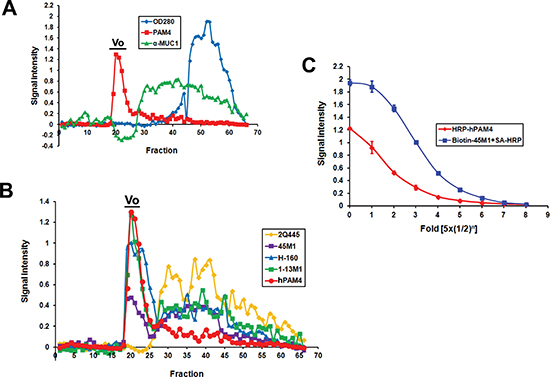 Immunoreactivity of fractions eluted from Sepharose CL-2B.