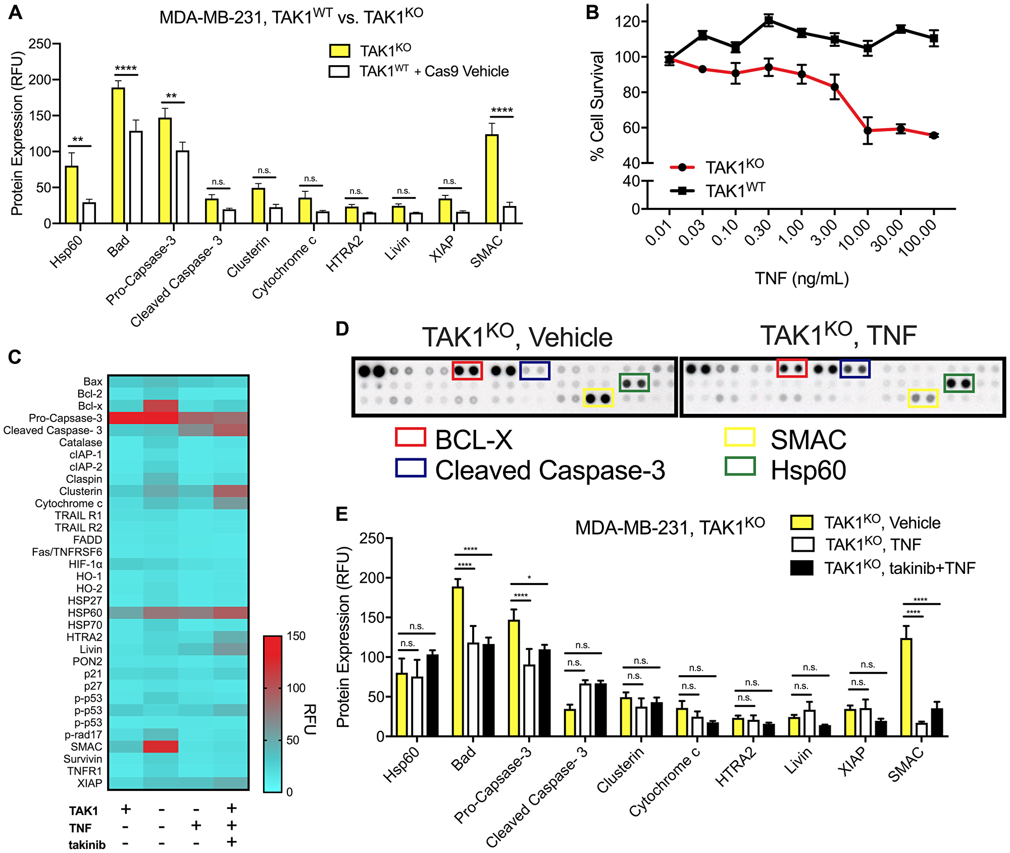 The efficacy of TAK1 inhibition on cell death is characterized by TAK1KO, as well as takinib + TNF treatment.