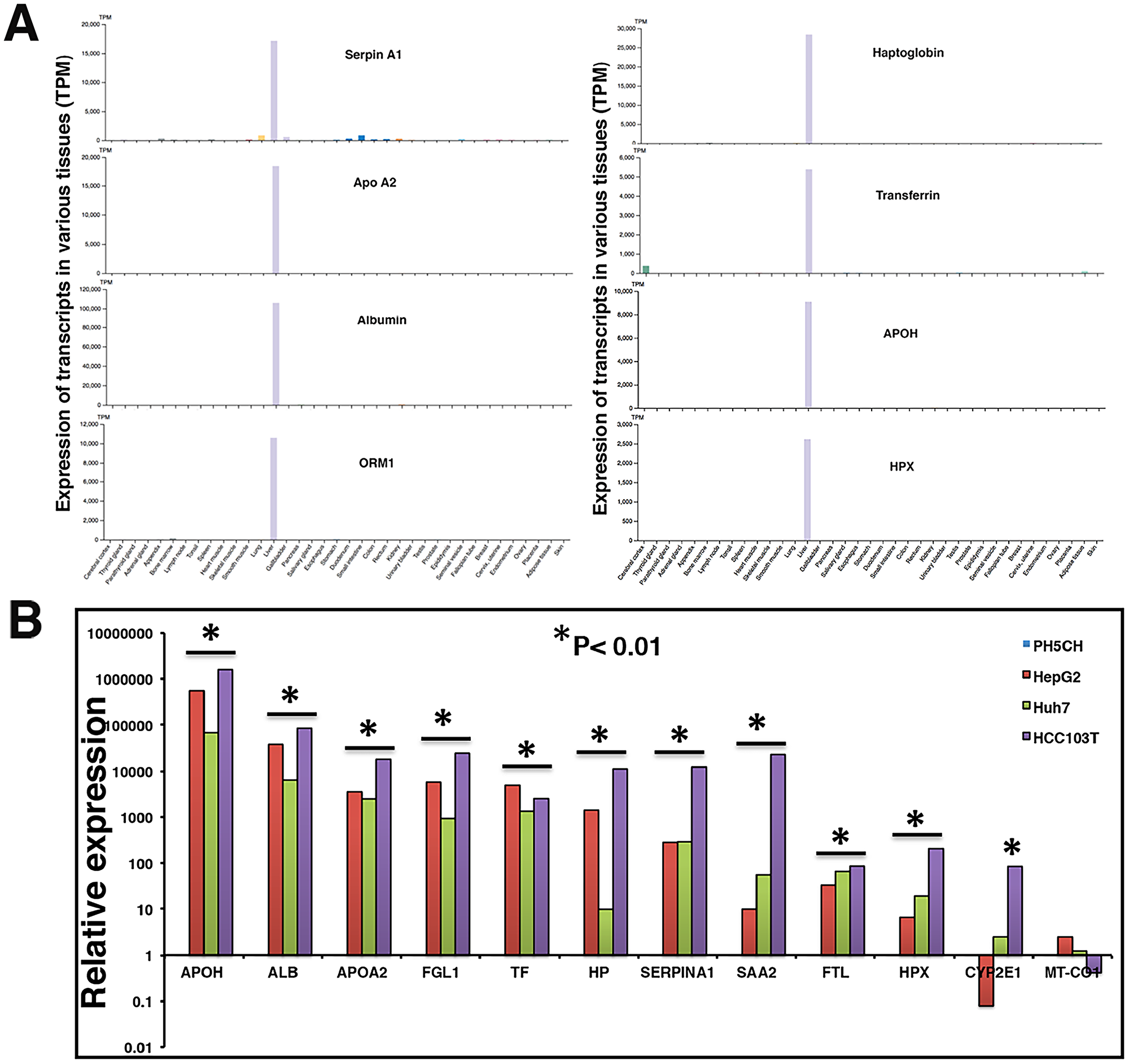 Liver specificity of circulating transcripts investigated in Human Protein Atlas (HPA) dataset, HCC tumor, and cell lines.