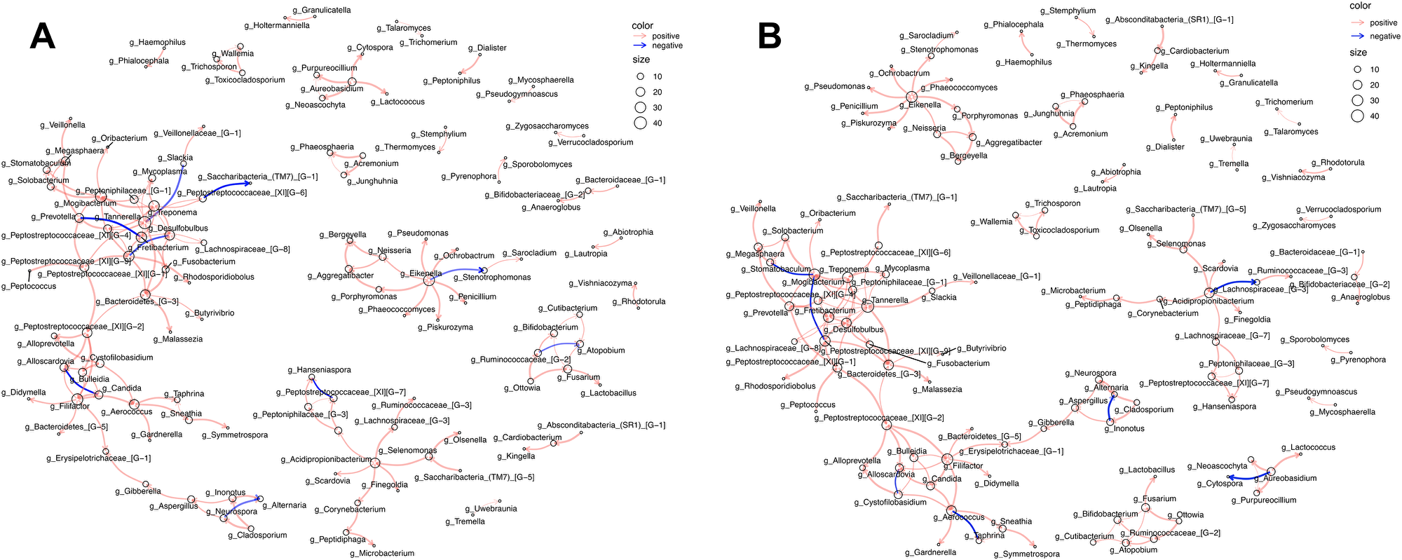 Network analysis depicting intra-kingdom and inter-kingdom correlations.