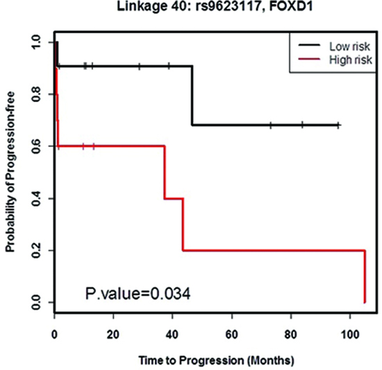 Survival analysis of high and low risk groups defined by FOXD1-rs9623117.