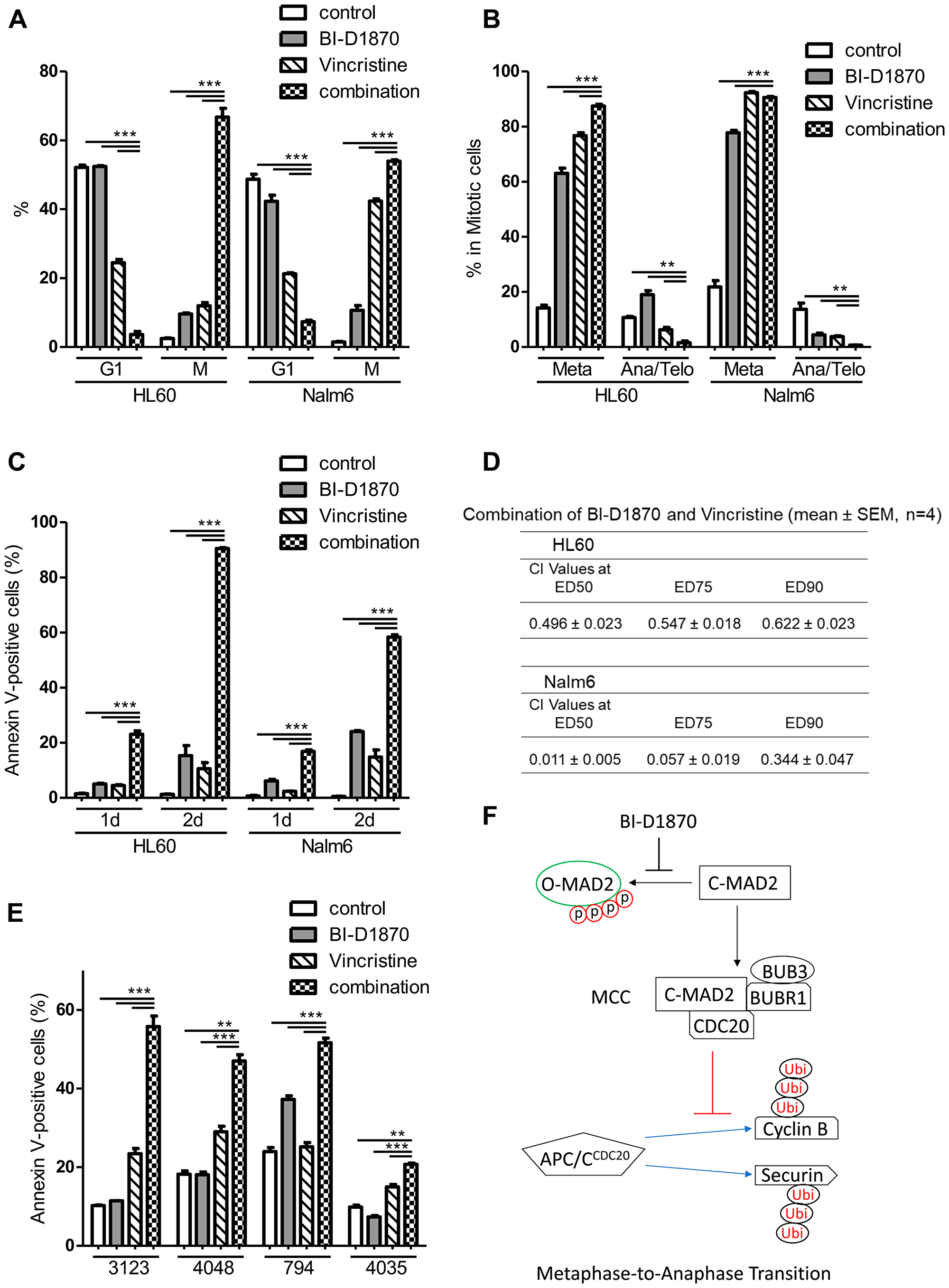 BI-D1870 in combination with vincristine increase metaphase arrest and apoptosis synergistically.