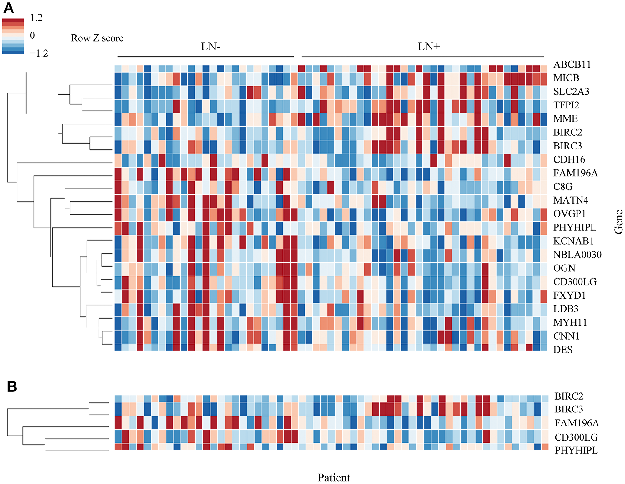 Heatmap of differentially expressed genes.
