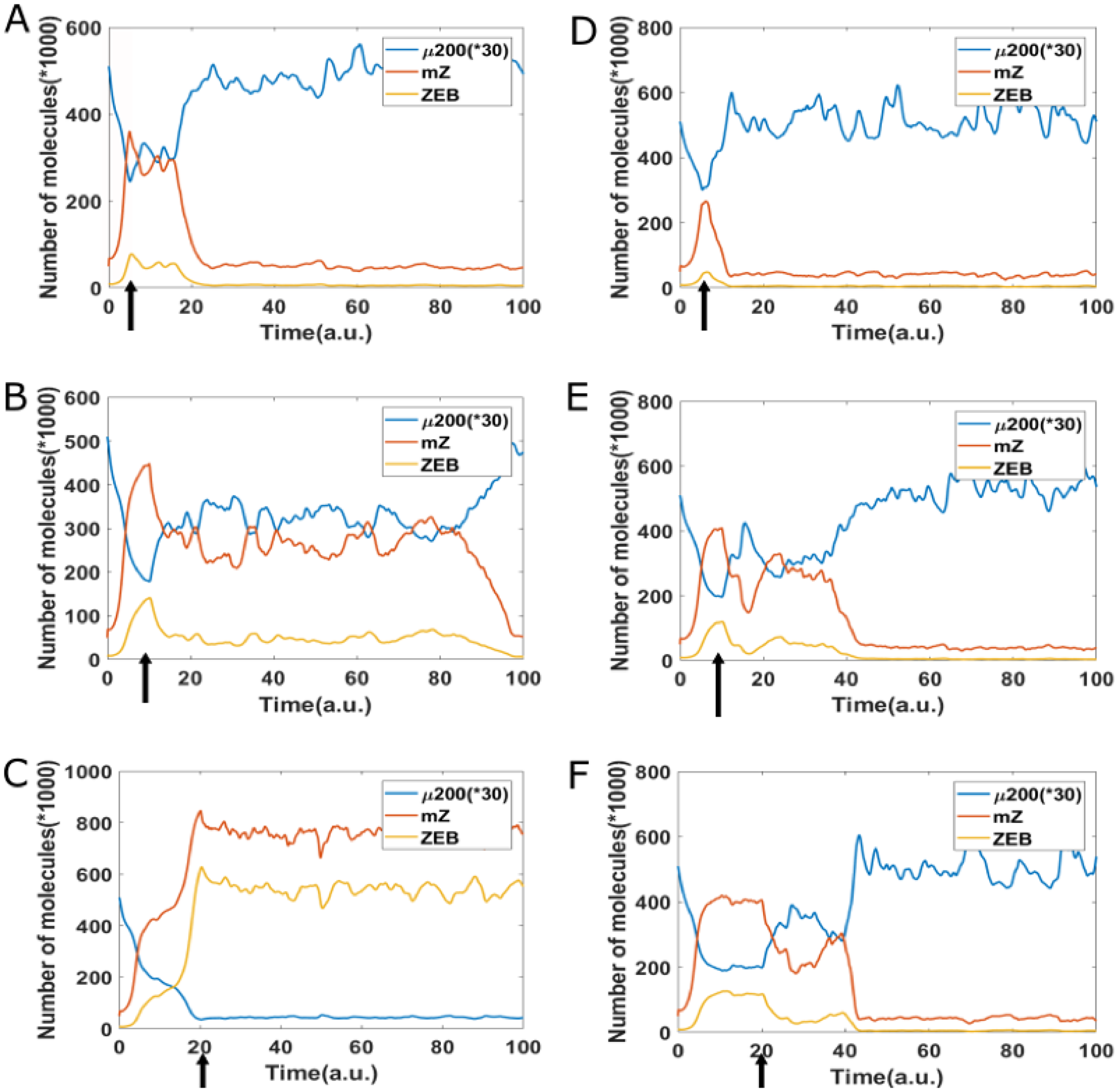 Reversibility of EMT starting from epithelial state (miR-200 = 17,000, mZEB = 50, ZEB = 10,000 molecules), a cell is treated by different time duration (5, 10, 20 arbitrary units [a.u], as marked by arrow) of high EMT-inducing signal (I = 125,000 molecules), corresponding to the {H, M} bistable region.