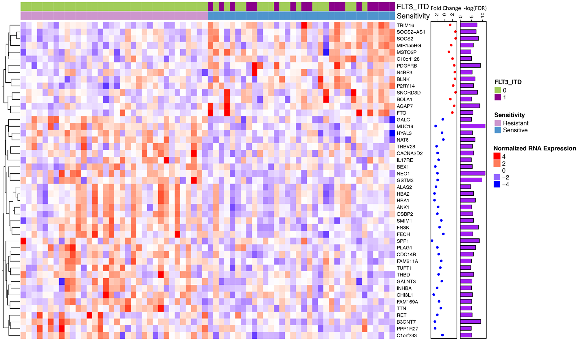 Differential gene expression for midostaurin sensitive vs. resistant samples identifies a unique signature.