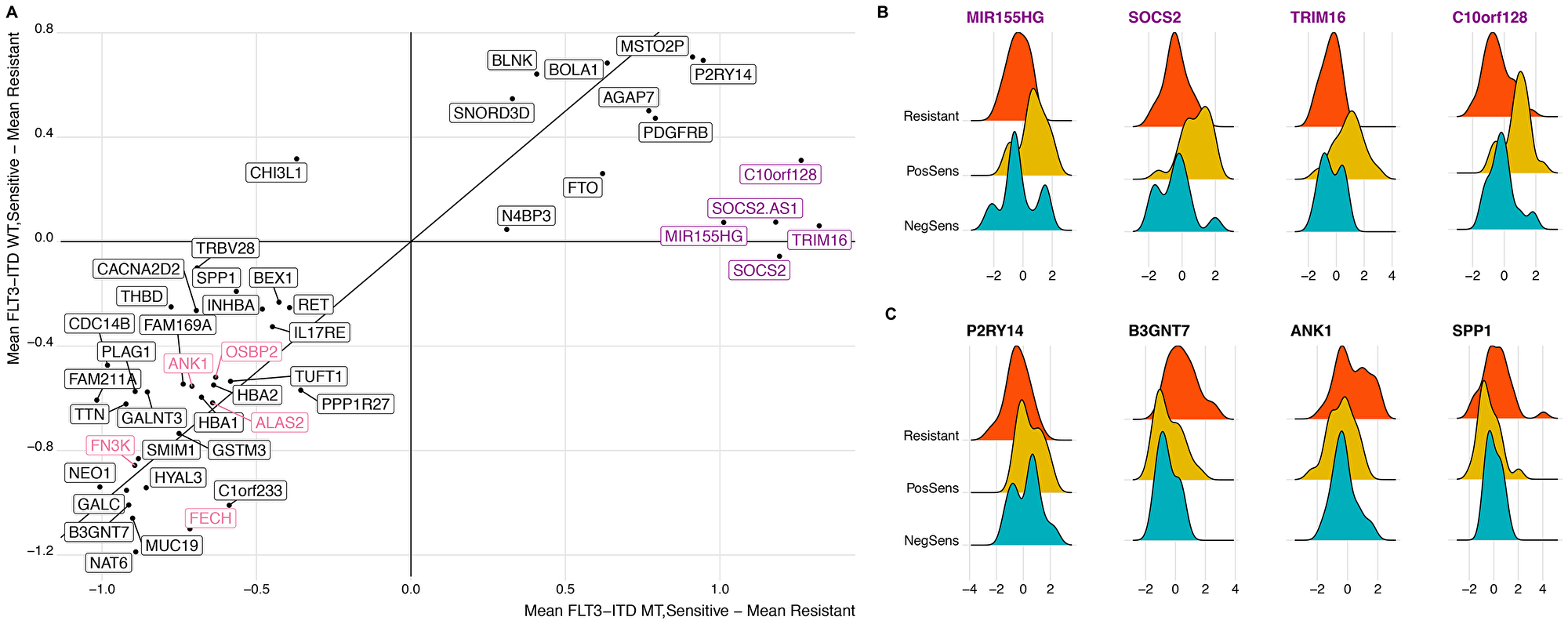 Distinct differential gene expression signature correlates with midostaurin expression regardless of FLT3-ITD status.