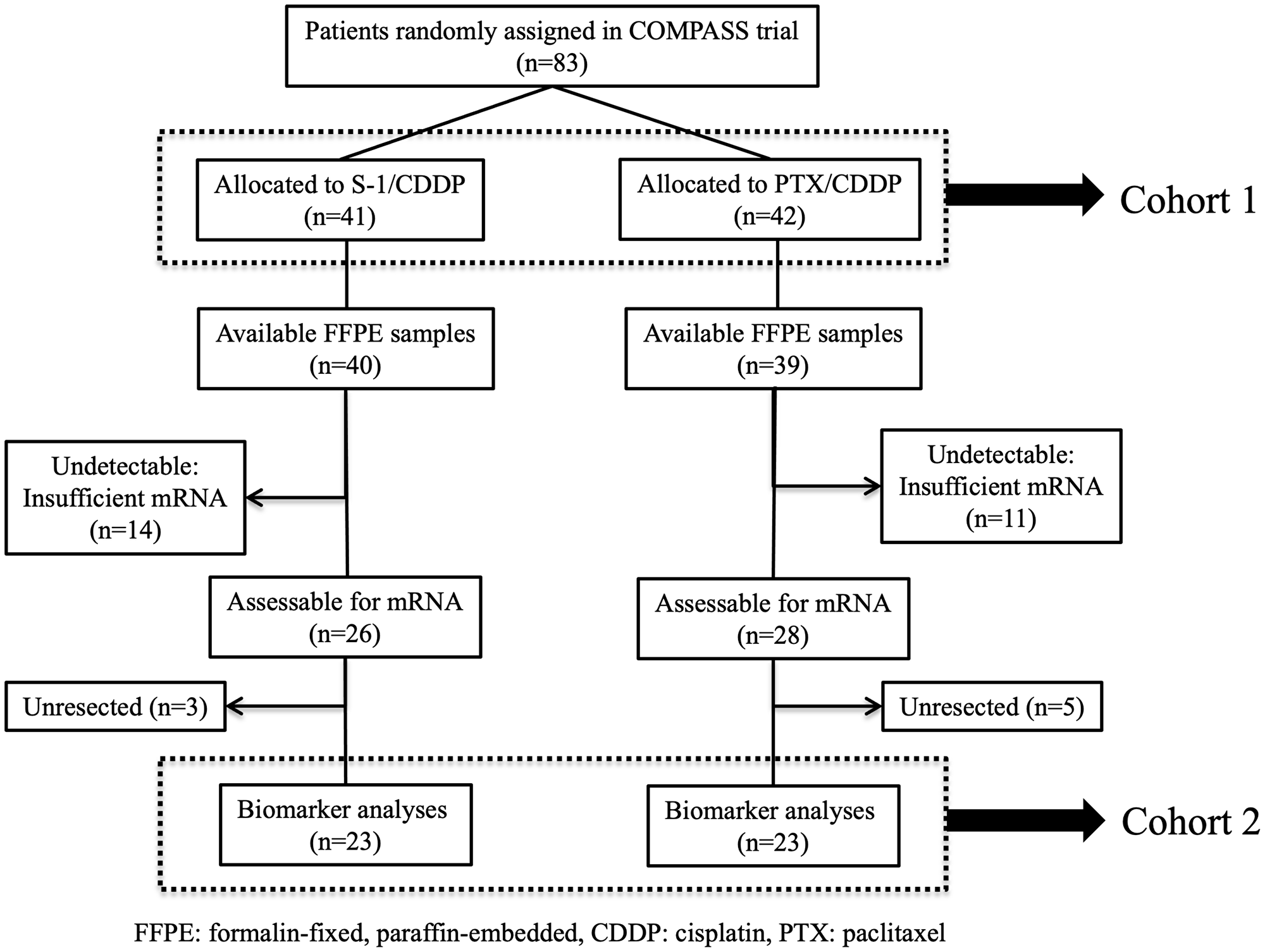 CONSORT diagram.