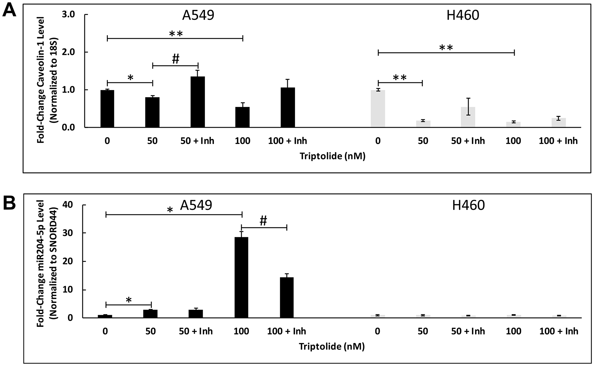 miR204-5p inhibitor blocked TL-induced downregulation of Cav-1 mRNA expression in NSCLC.