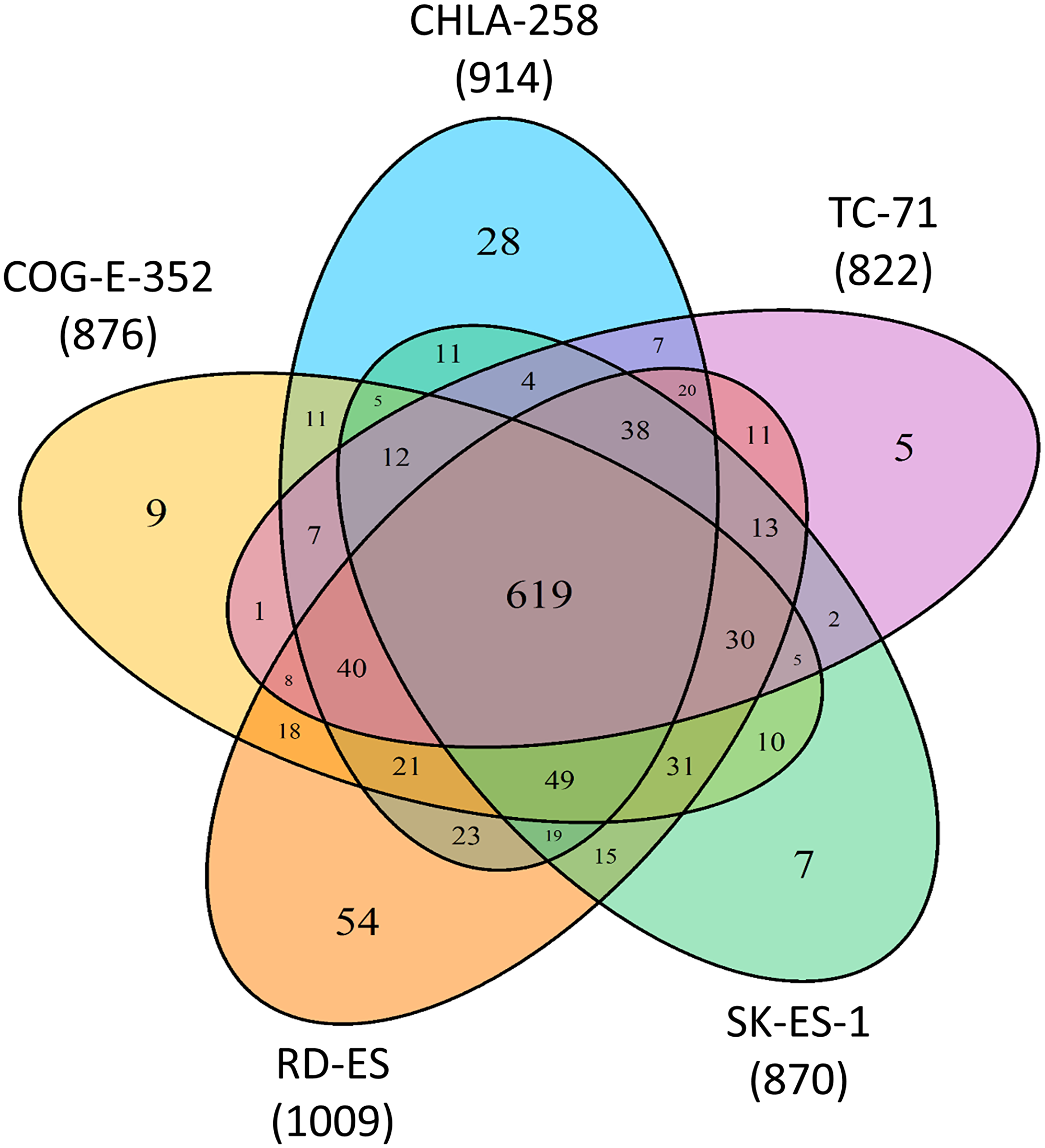 Common and unique proteins to ESFT cell line derived sEVs.